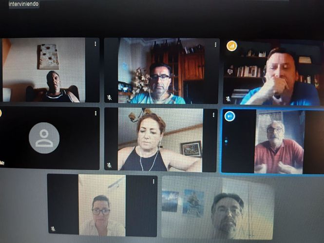 Imagen de la reunión telemática (IU) 