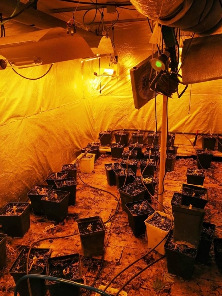 Plantación de marihuana en la cochera (AYTO. ALMUÑECAR) 