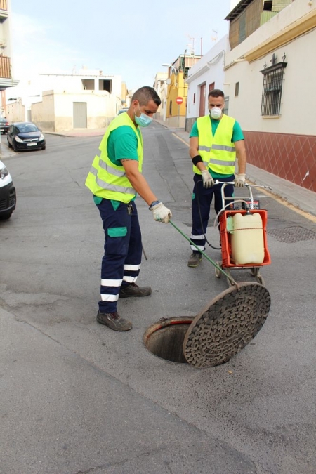 Tareas de desinfección en la Zona Norte de Motril (AYTO. MOTRIL)