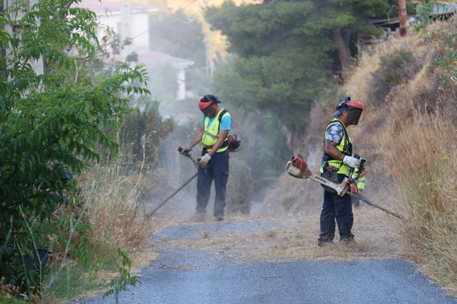 Limpieza y desboce en el Cotobro (AYTO. ALMUÑÉCAR)