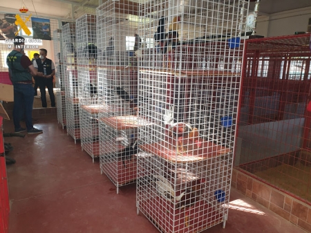 Reñidero desmantelado en Albolote (GUARDIA CIVIL)