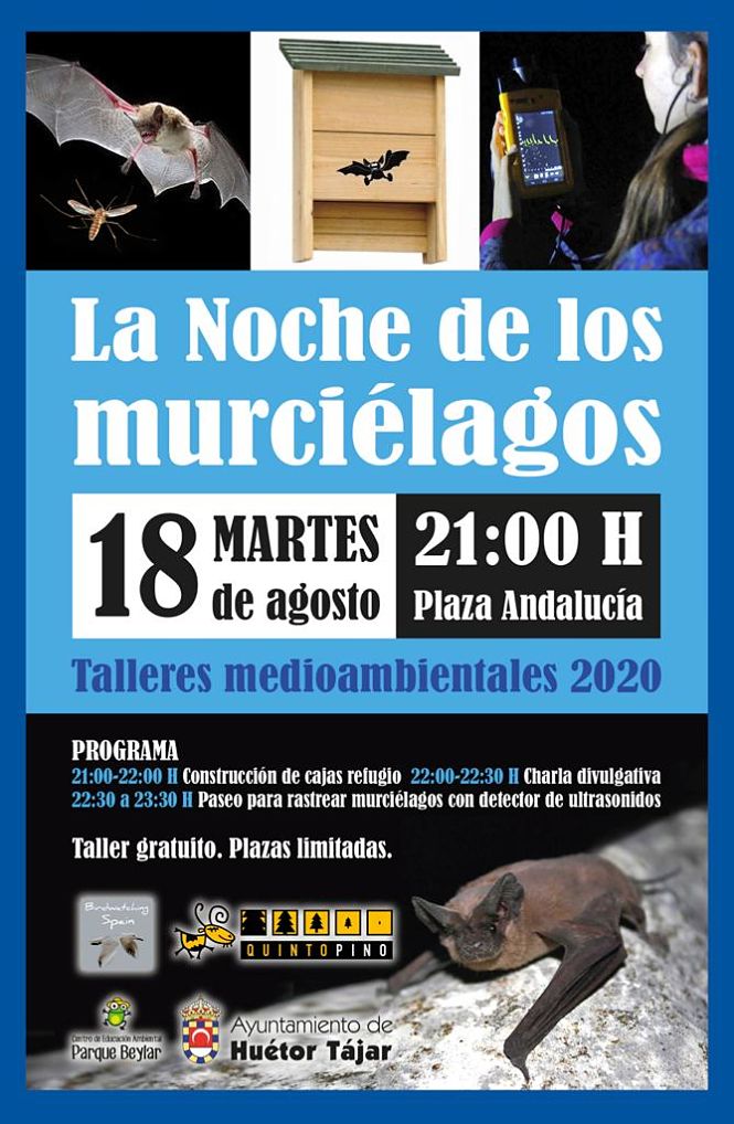 Cartel de `La Noche de los murciélagos` (AYTO. HUÉTOR TAJAR)