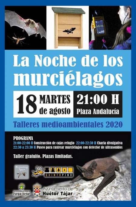 Cartel de `La Noche de los murciélagos` (AYTO. HUÉTOR TAJAR)