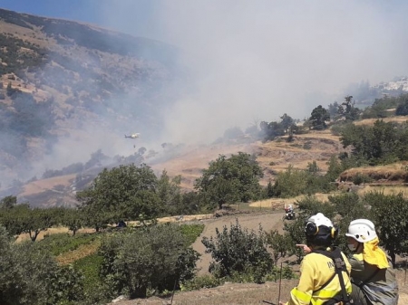 Incendio forestal en Bubión (BUBIÓN)