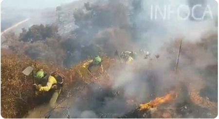 Bomberos del Infoca trabajando en el incendio de Polopos (INFOCA) 