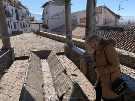 María de Leyva durante una visita al Mirador de El Realejo (PSOE) 