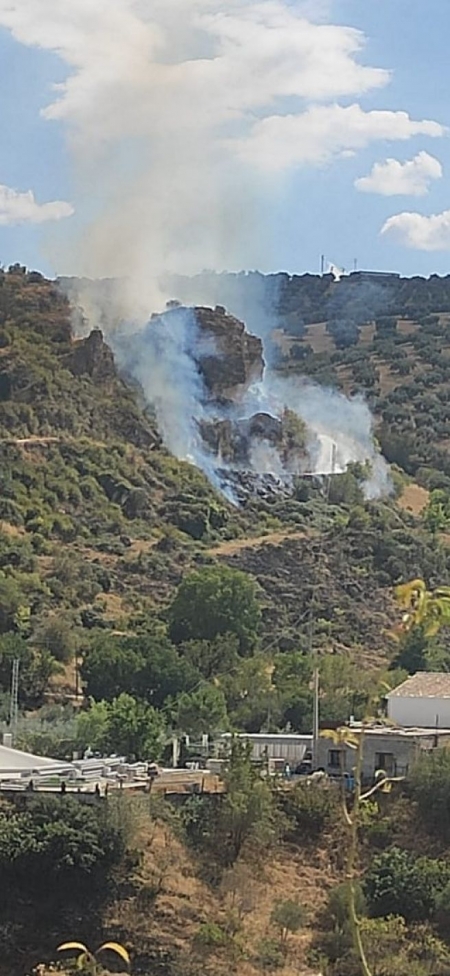 Lugar donde se ha producido el incendio (INFOCA)