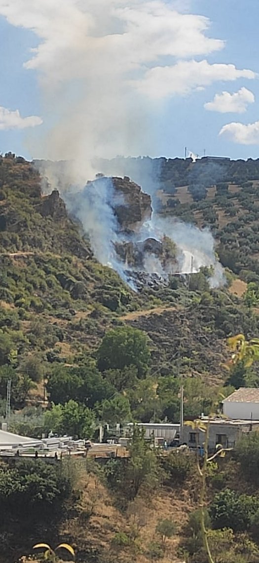 Lugar donde se ha producido el incendio (INFOCA)