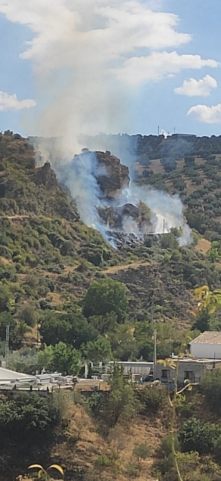 Lugar donde se ha producido el incendio (INFOCA)