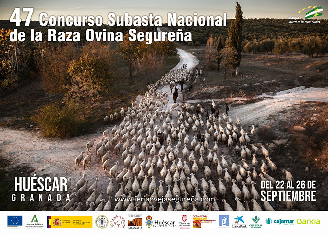 AYUNTAMIENTO HUÉSCAR 