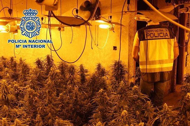 Operación antidroga en Cijuela (POLICÍA NACIONAL) 