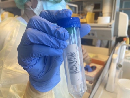 Prueba PCR (CEDIDO POR CONSEJERÍA DE SANIDAD DE CANARIAS) 