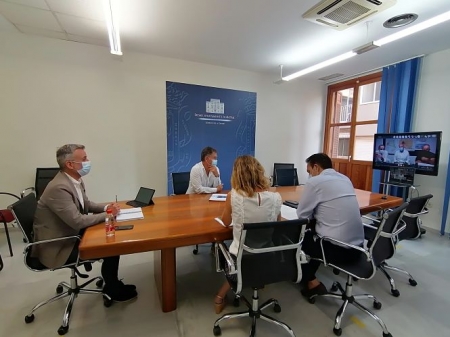 Imagen de la reunión telemática /AYTO. MOTRIL)