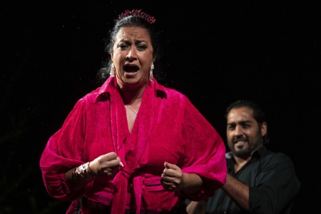 Imagen de la actuación (MILNOFF) 