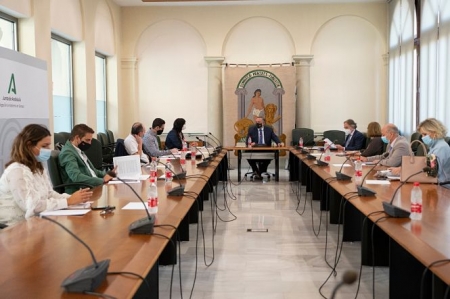 Imagen de la reunión de la Comisión de Seguimiento (JUNTA) Imagen de la reunión de la Comisión de Seguimiento (JUNTA)
