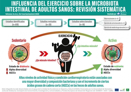 Infografía sobre la investigación realizada en la Universidad de Granada (UGR)