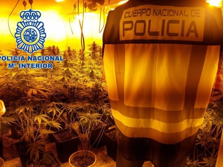 Operación policial contra la marihuana en la zona norte de Granada (POLICÍA NACIONAL) 