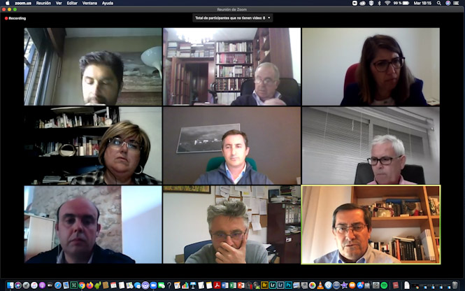 Imagen de la reunión telemática (DIPUTACIÓN)