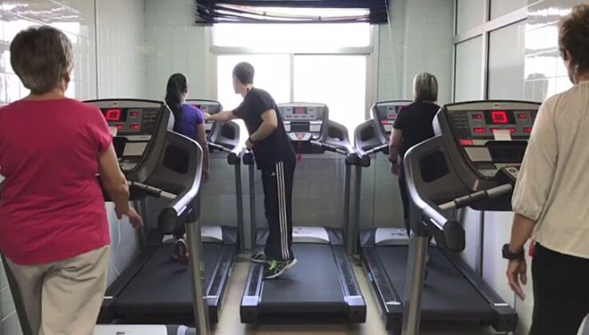 Personas realizando ejercicio (UGR)