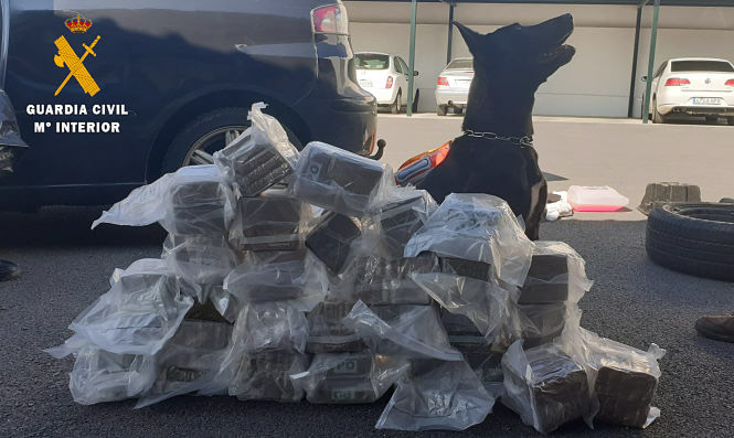 Perro de la Guardia Civil ante la droga incautada (GUARDIA CIVIL)