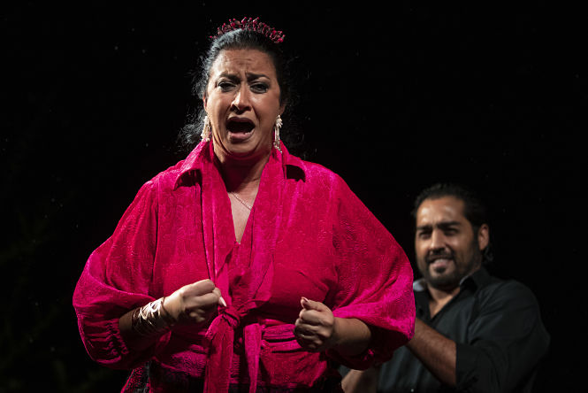 Imagen de una actuación flamenca (MILNOFF)