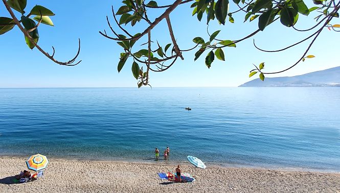 Playa de la Costa Tropical (ASOCIACIÓN CHIRINGUITOS COSTA TROPICAL)