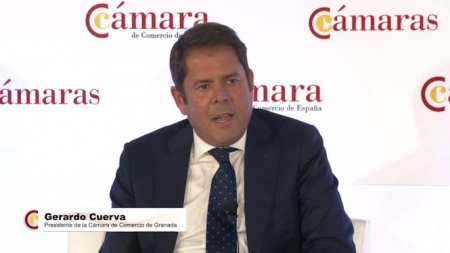 Gerardo Cuerva durante el pleno de Cámara España (CÁMARA GRANADA)