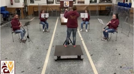 Imagen del concierto virtual de Santa Cecilia (AYTO. CÚLLAR VEGA) 