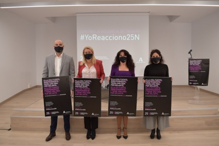 Presentación de la campaña para el 25N (JUNTA) Presentación de la campaña para el 25N (JUNTA)