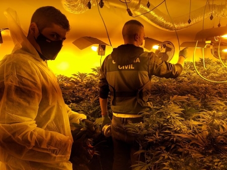 Imagen de la plantación de Marihuana (GUARDIA CIVIL)