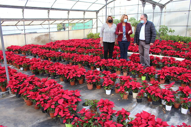 Pascueros en el Vivero Municipal (AYTO. MOTRIL)