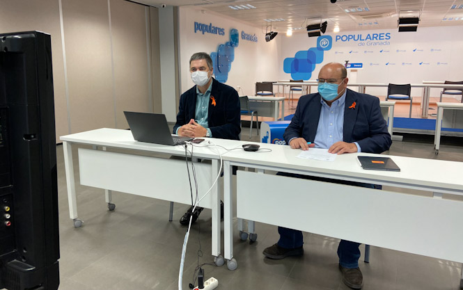 Carlos Rojas y José Robles durante la reunión telemática (PP) 