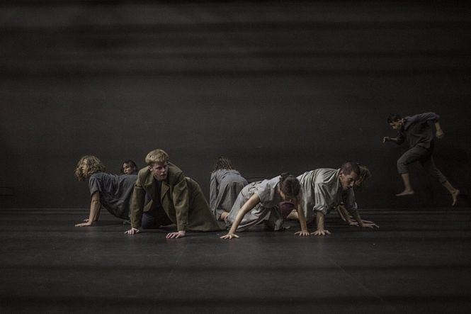 La Phármaco (JUNTA DE ANDALUCÍA)