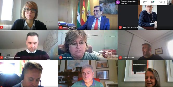 Imagen de la reunión telemática (DIPUTACIÓN)