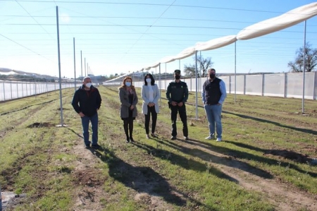 La Subdelegada del Gobierno ha visitado la zona donde irá el laboratorio invernadero (SUBDELEGACIÓN) 