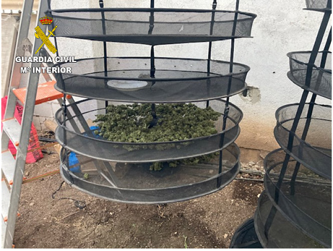 Bateas de Marihuana (GUARDIA CIVIL)