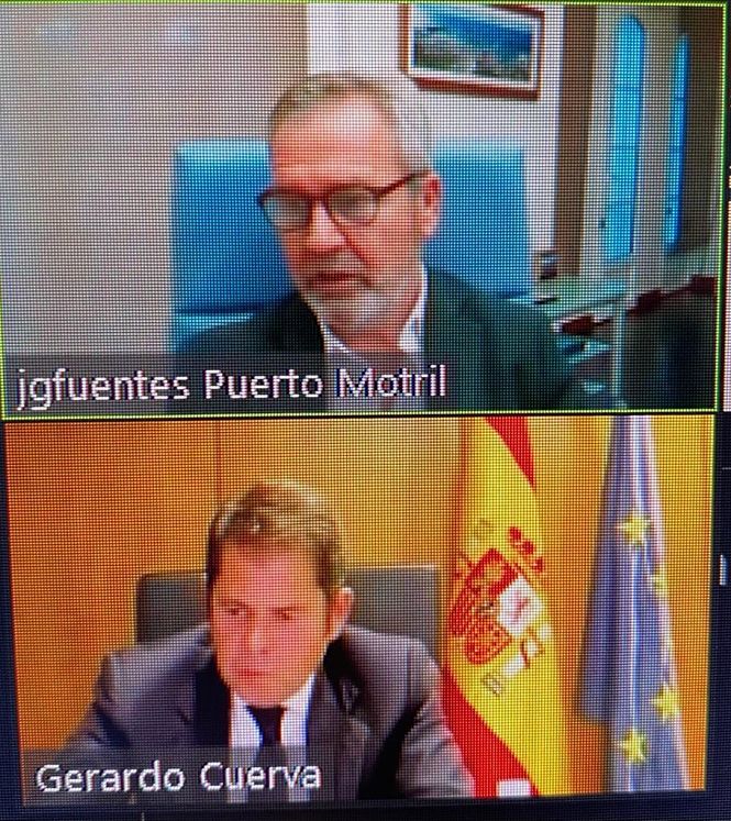 Imagen de la reunión telemática (CÁMARA GRANADA)