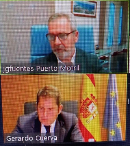 Imagen de la reunión telemática (CÁMARA GRANADA)