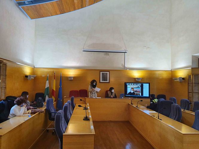 Reunión organizativa del II Plan de Igualdad (AYTO. GUADIX)