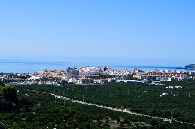 Vista panorámica de la Vega Río Verde (AYTO. ALMUÑÉCAR)