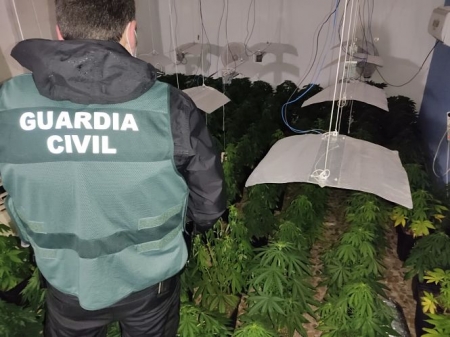 Un Guardia Civil junto a una de las plantaciones (GUARDIA CIVIL)