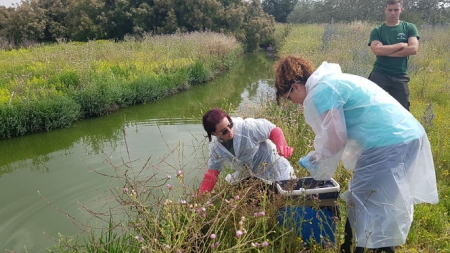 Los investigadores de la UGR en la Reserva Natural de la Laguna de Fuente de Piedra, en Málaga (UGR) Los investigadores de la UGR en la Reserva Natural de la Laguna de Fuente de Piedra, en Málaga (UGR)