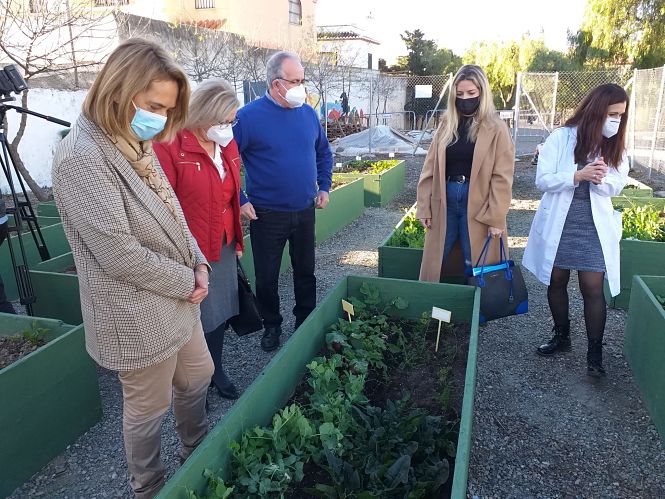 La Alcaldesa de Mptril ha visitado el huerto escolar del CP Reina Fabiola (AYTO. MOTRIL)