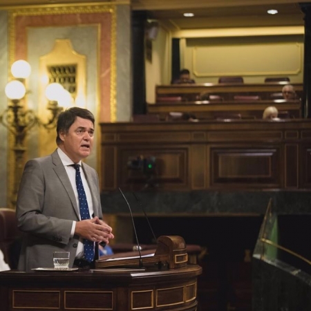 El diputado del PP por Granada Carlos Rojas (PP) 