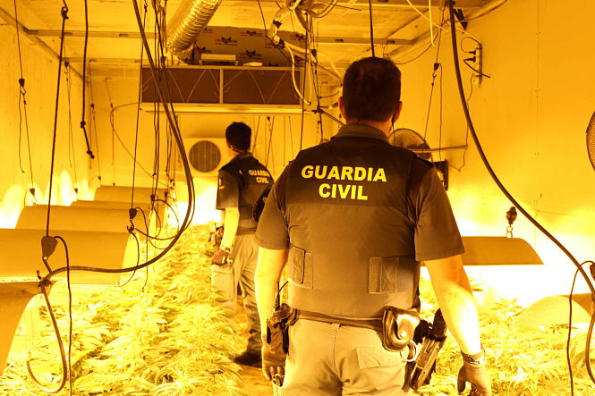 Uno de los centros de producción de marihuana desarticulado (GUARDIA CIVIL)