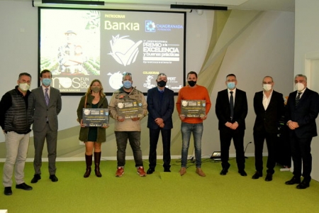 Imagen de la entrega de los premios (CAJAGRANADA FUNDACIÓN) Imagen de la entrega de los premios (CAJAGRANADA FUNDACIÓN)