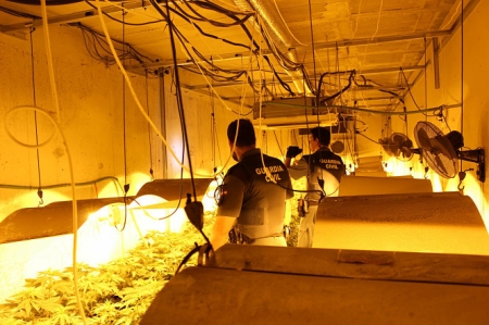 Agentes de la Guardia Civil en el centro de producción de Marihuana (GUARDIA CIVIL) 