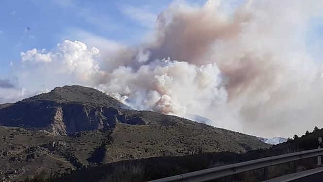 Incendio forestal en Órgiva (INFOCA) 