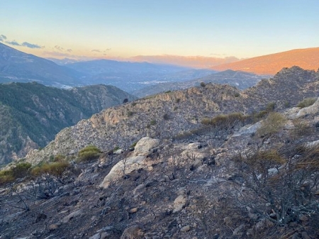 Zona calcinada por el incendio forestal de Almegíjar (INFOCA)