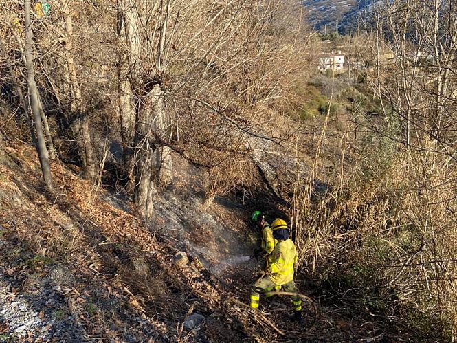Bomberos del Infoca trabajando en la zona del incendio (INFOCA) 